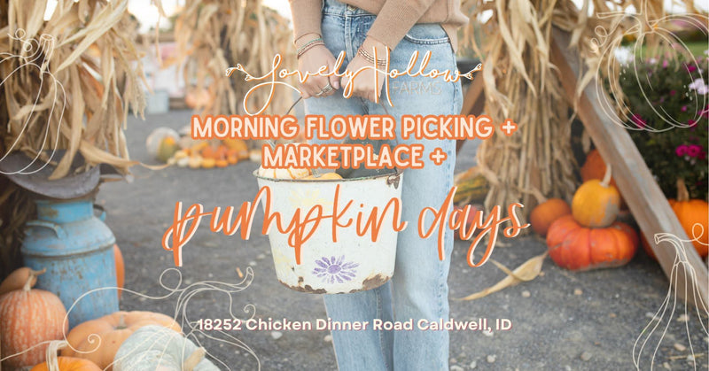 Pumpkin Days